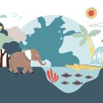 Fakta Lingkungan Biotik, Komponen Hidup dalam Ekosistem