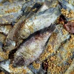 Menggali Keunikan Rasa, Eksplorasi Kuliner Fermentasi Tradisional Indonesia
