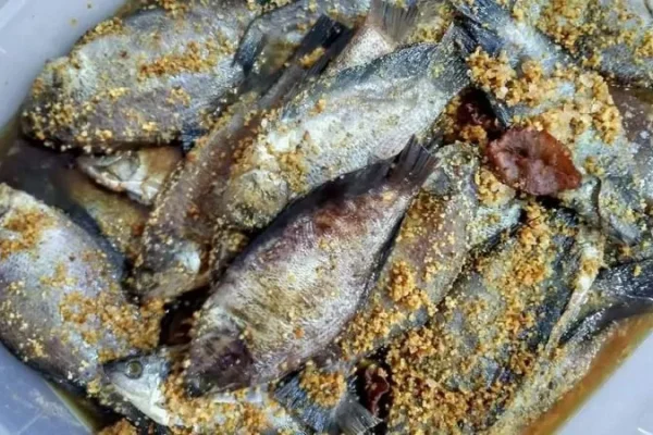 Menggali Keunikan Rasa, Eksplorasi Kuliner Fermentasi Tradisional Indonesia Menggali Keunikan Rasa, Eksplorasi Kuliner Fermentasi Tradisional Indonesia