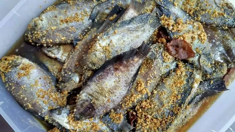Menggali Keunikan Rasa, Eksplorasi Kuliner Fermentasi Tradisional Indonesia