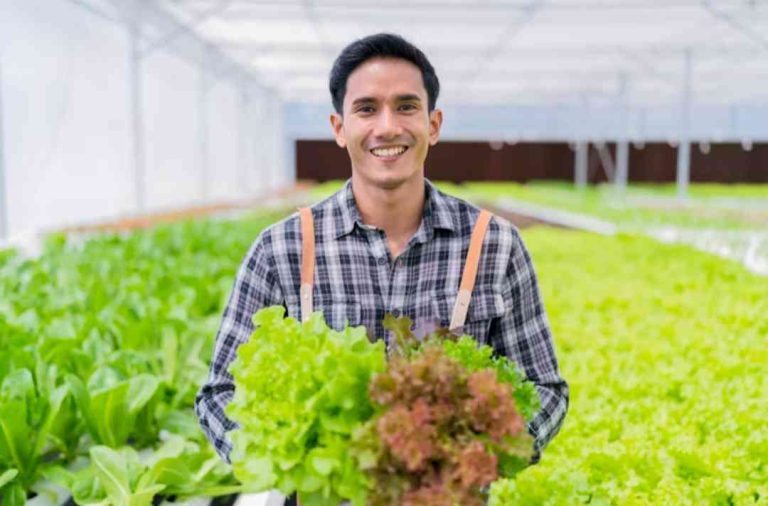 Peran Startup Agritech dalam Modernisasi Sektor Pertanian Indonesia